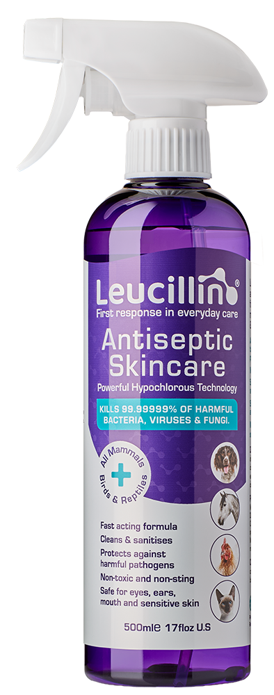 Leucillin Antiseptic Skincare Bottle